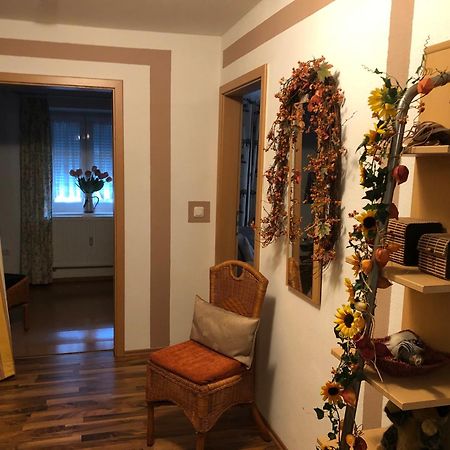 Schoene Ferienwohnung In Bahnhofsnaehe Fuer Urlaub, Studium Oder Arbeit Deggendorf Eksteriør bilde